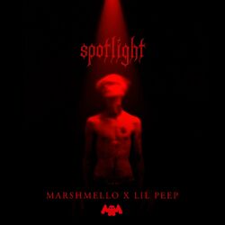Picture of Marshmello & Lil Peep