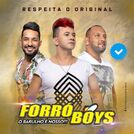 BANDA FORRO BOYS