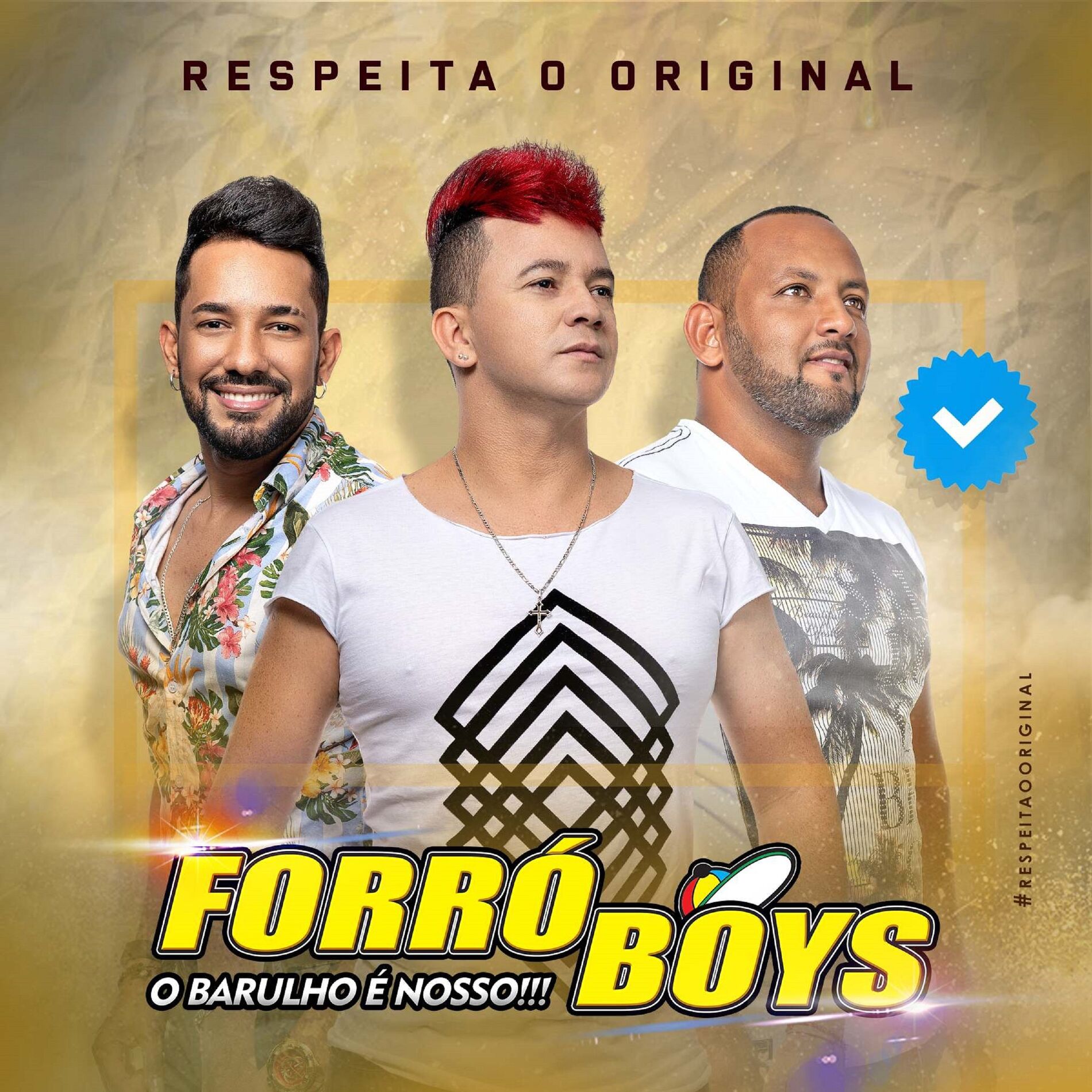 BANDA FORRO BOYS