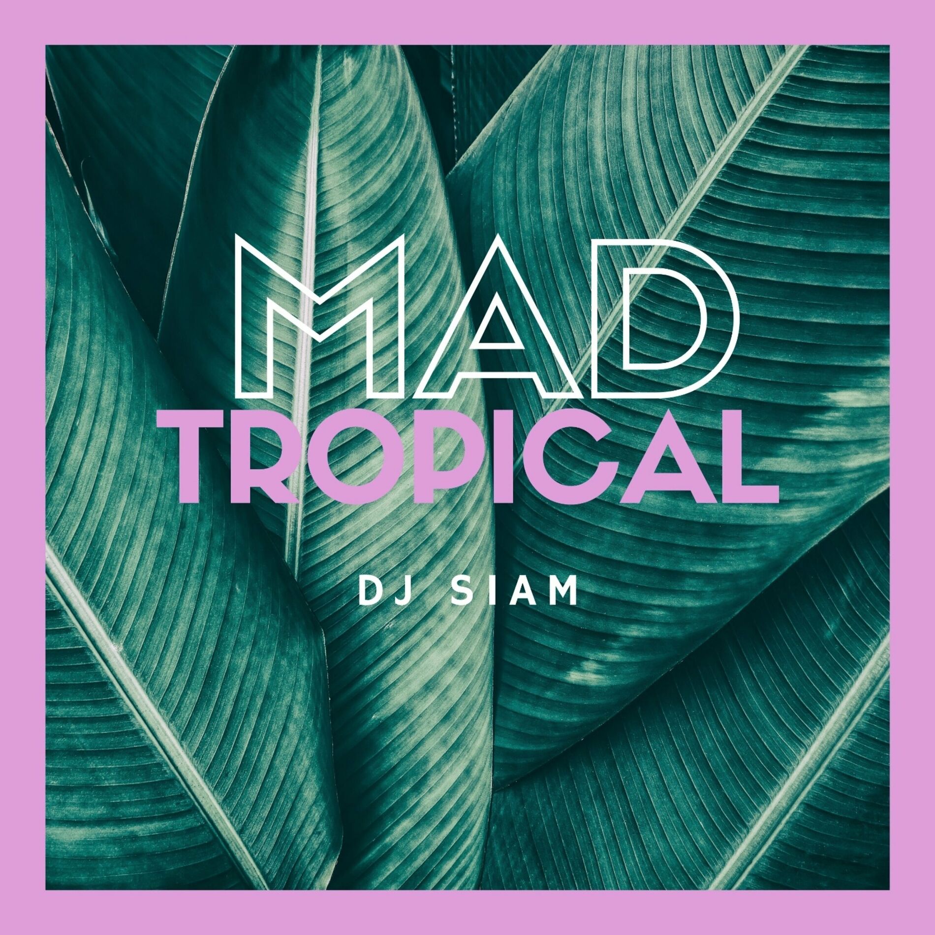 DJ SIAM