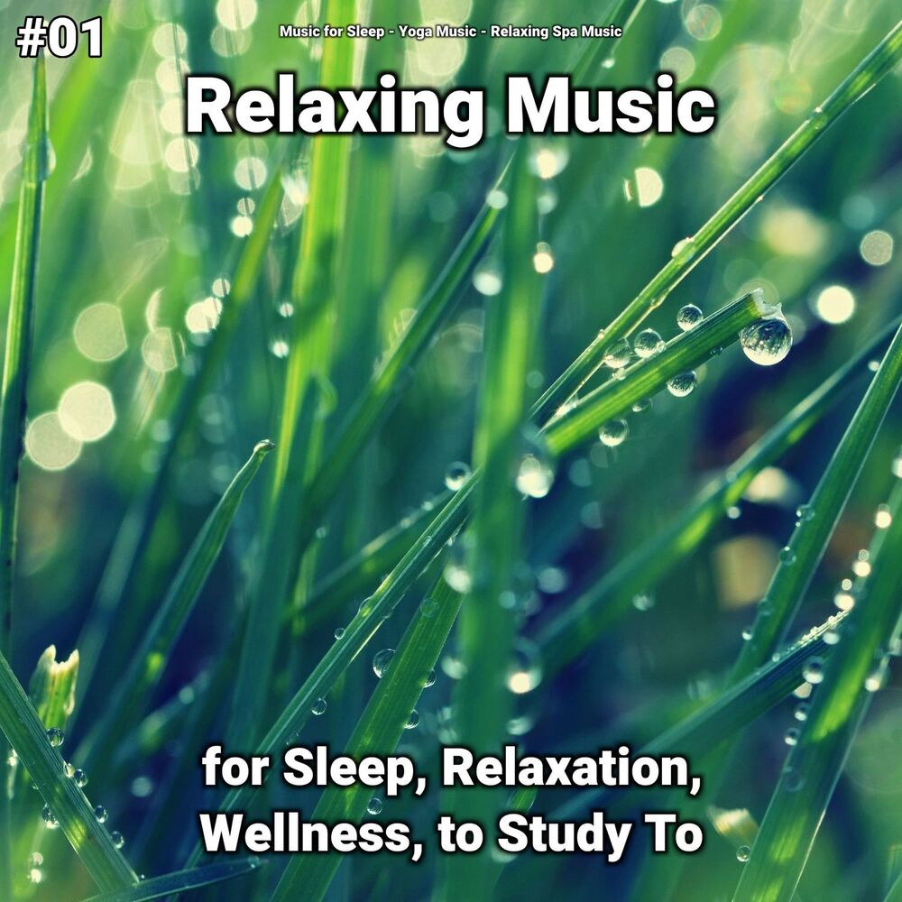 Picture of Music for Sleep