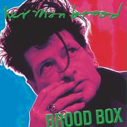 Picture of Herman Brood
