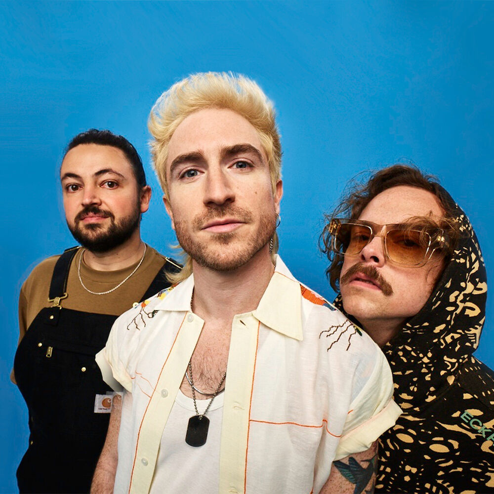Picture of Walk The Moon