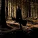 Will Varley
