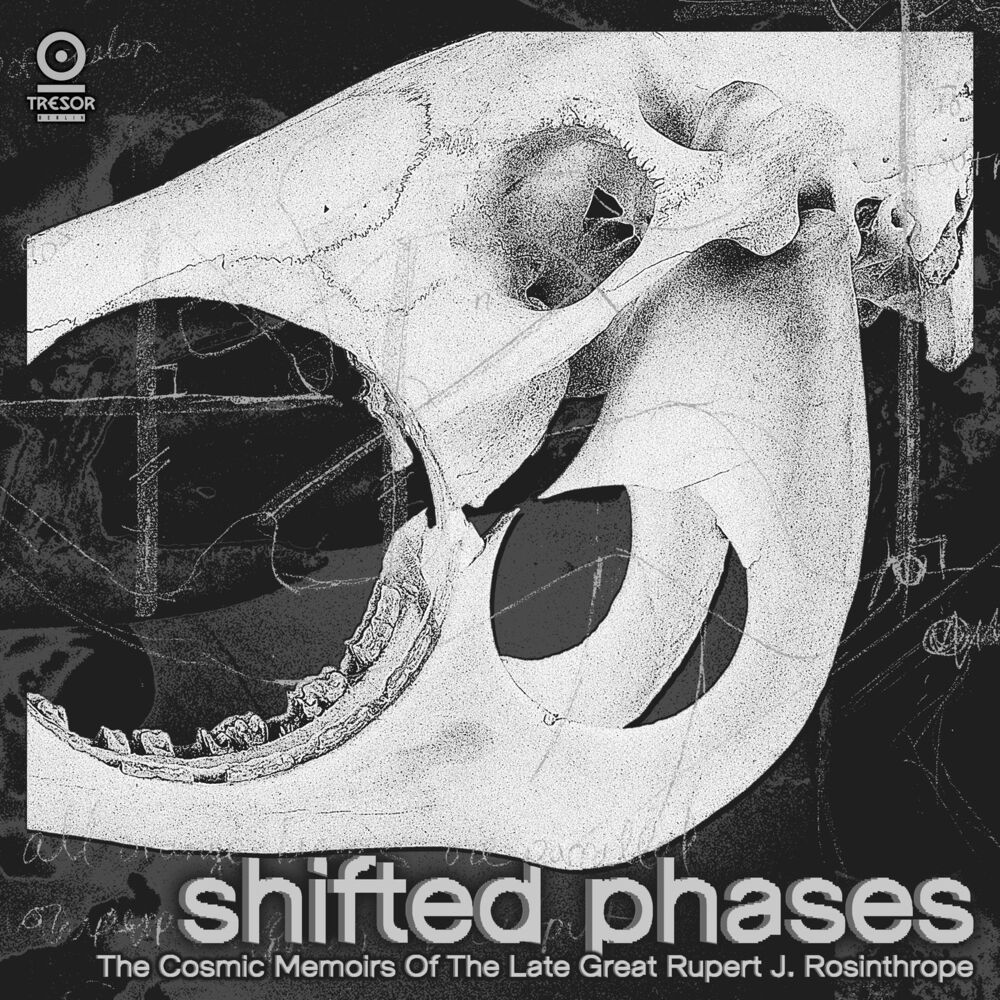 Picture of Shifted Phases