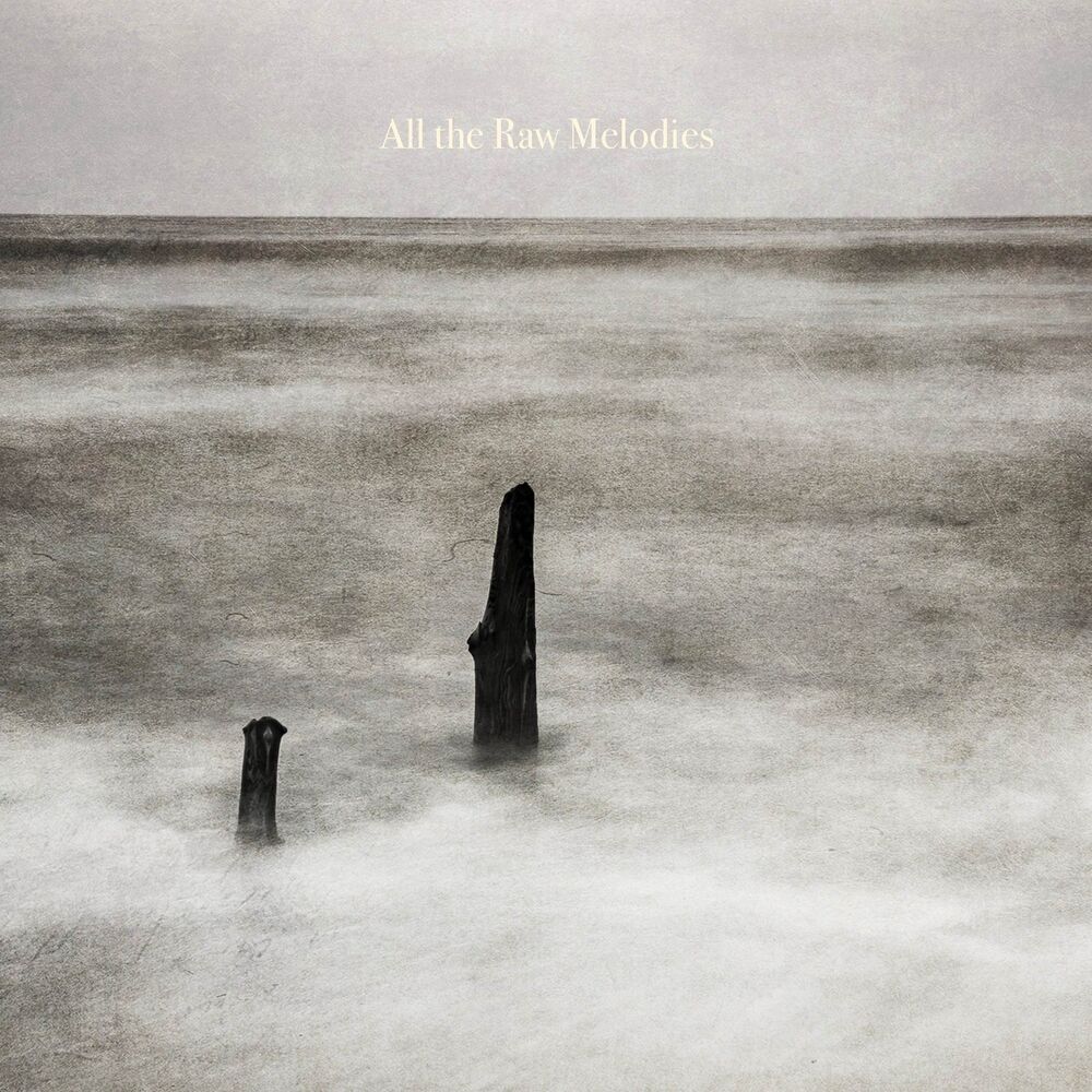 Picture of All the Raw Melodies