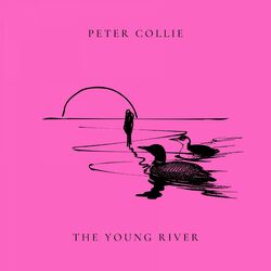 Picture of Peter Collie