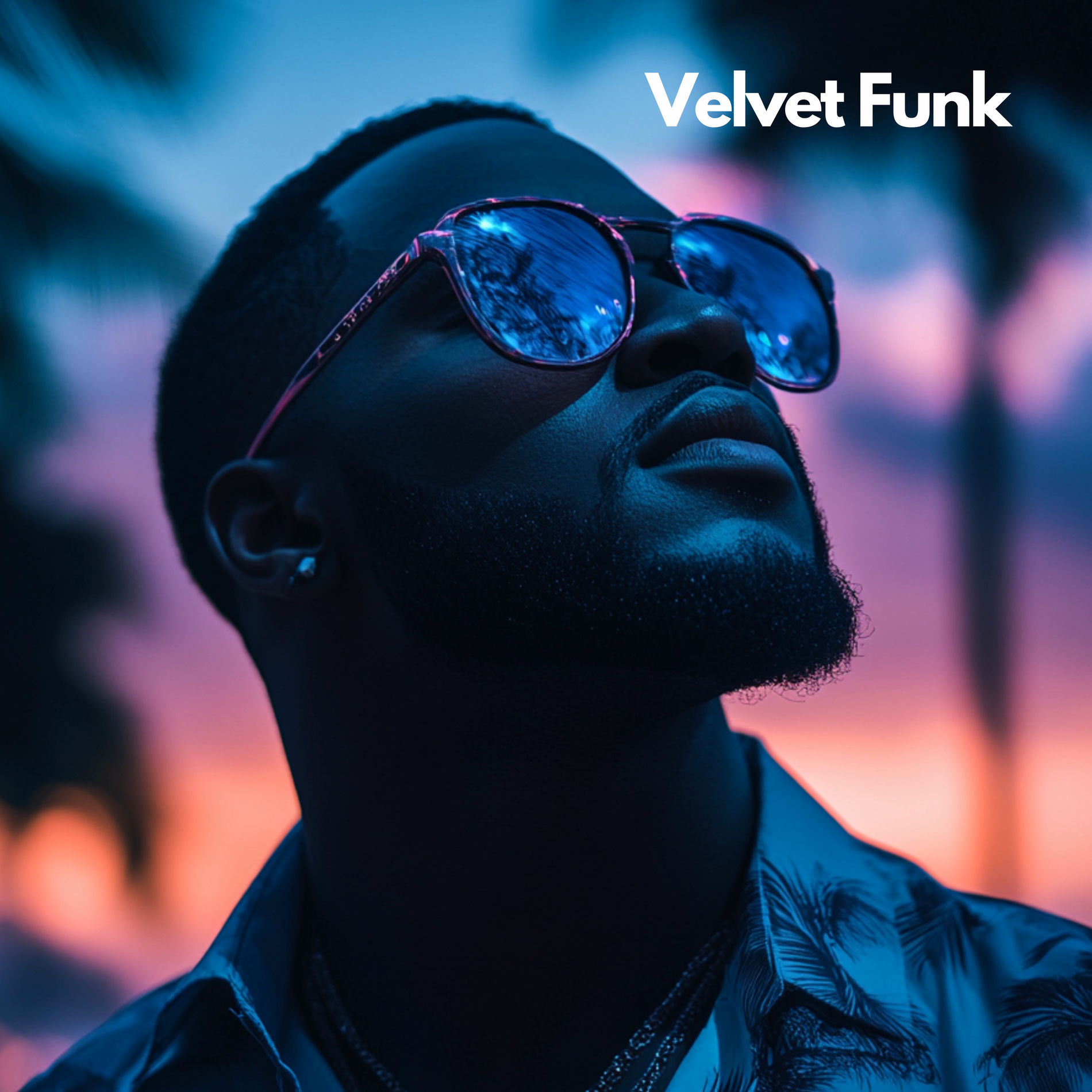 Artist picture of Velvet Funk