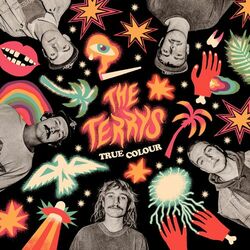 Picture of The Terrys