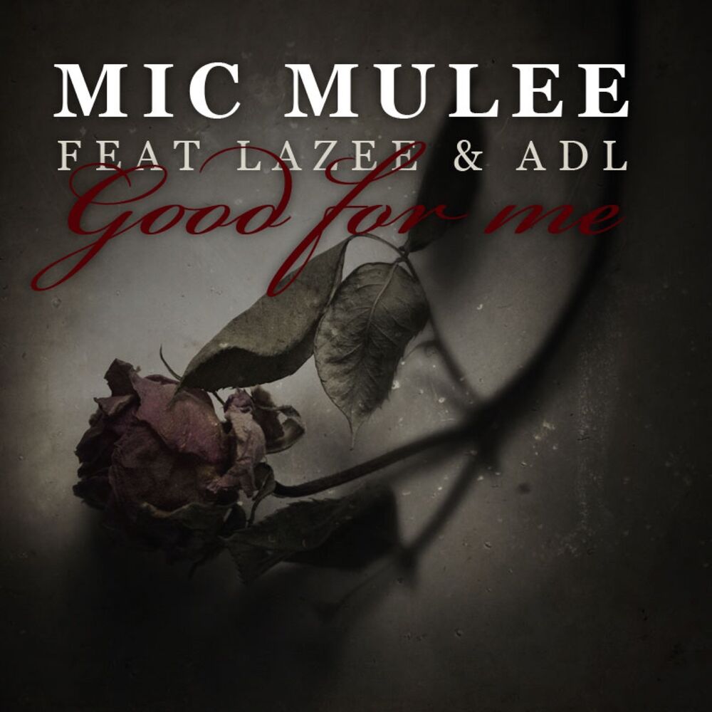 Picture of Mic Mulee