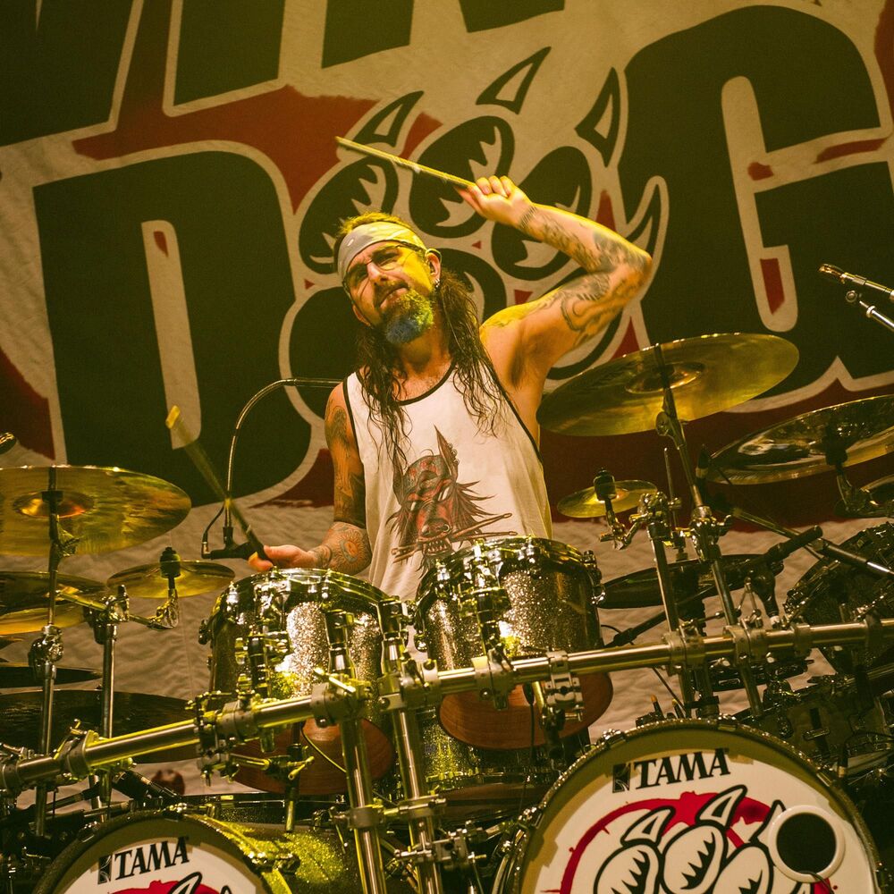 Picture of Mike Portnoy