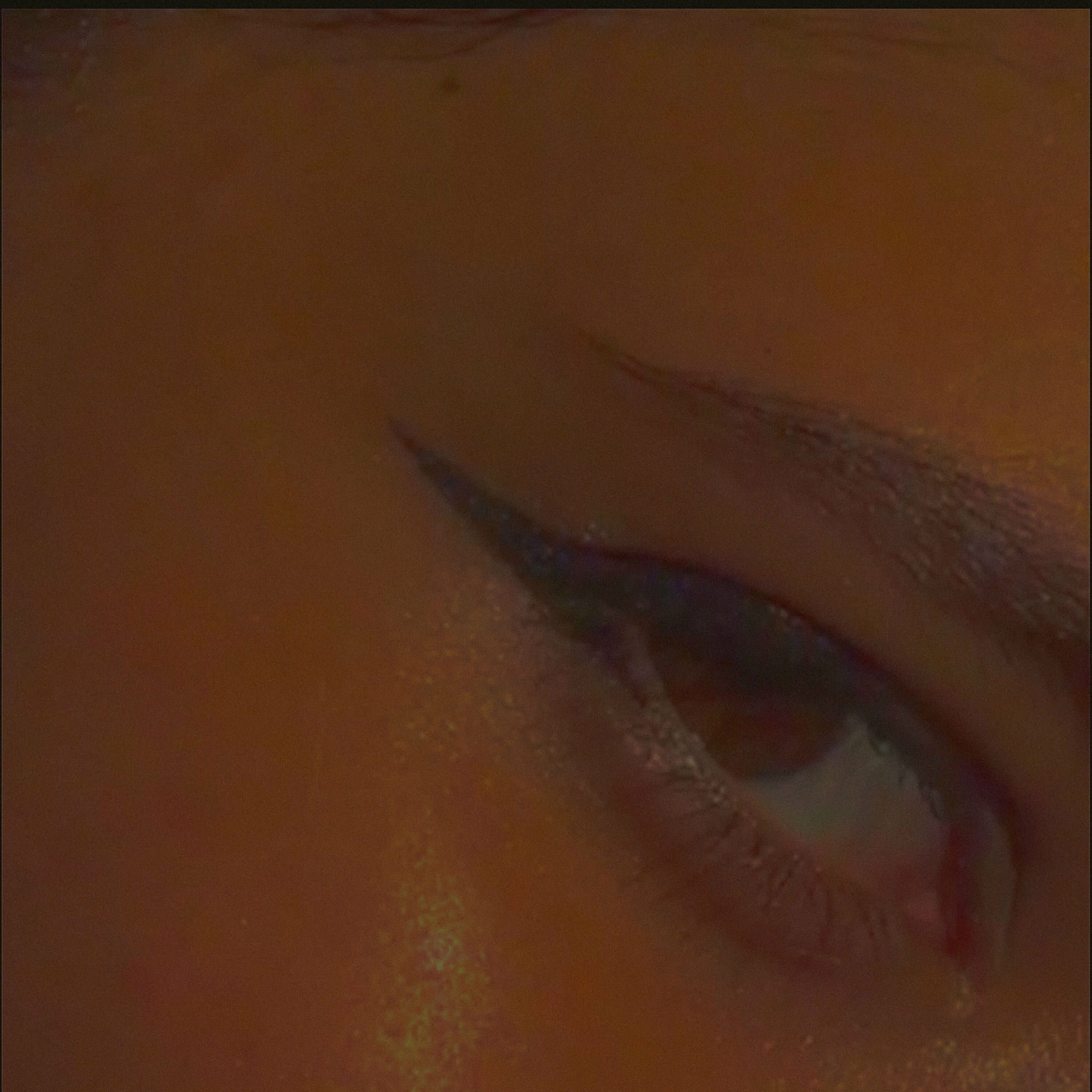 Universe