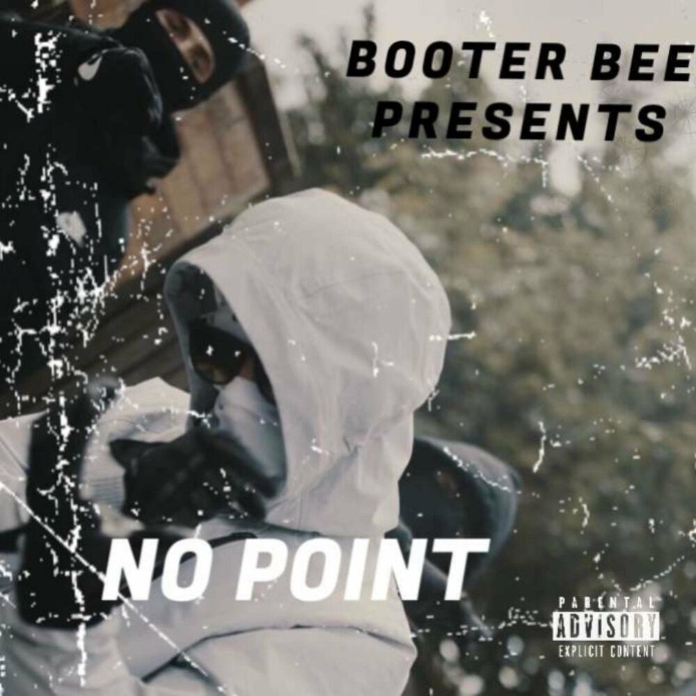 Picture of Booter Bee