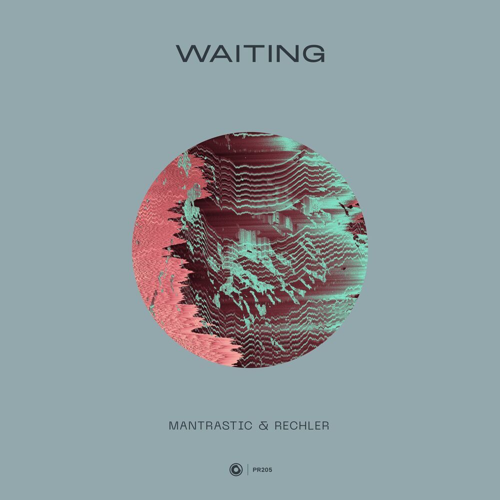 Picture of Mantrastic