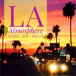 Picture of L.A. Atmosphere