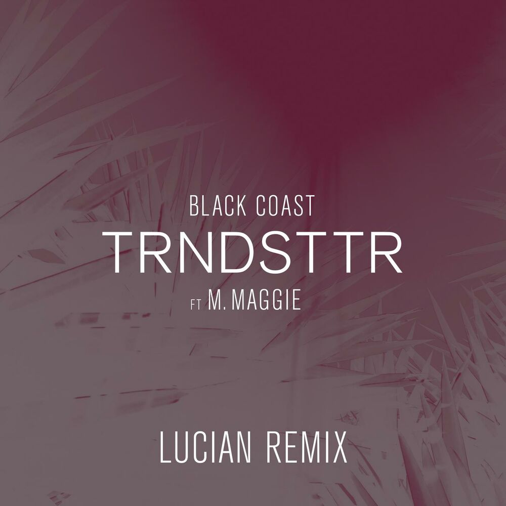 Picture of Black Coast