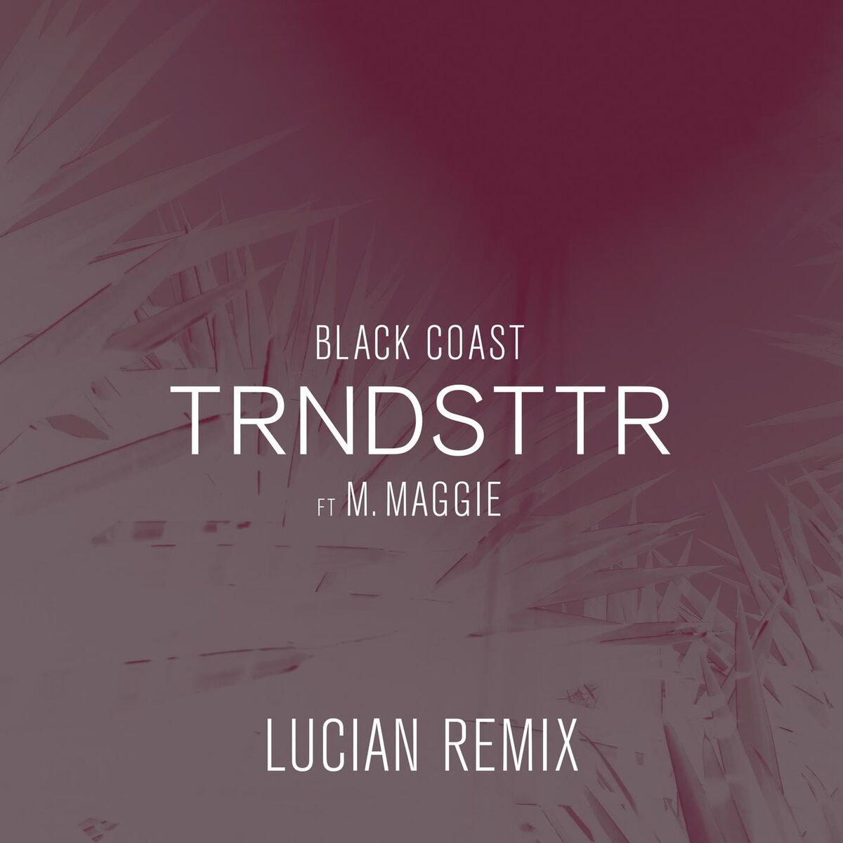 Artist picture of Black Coast