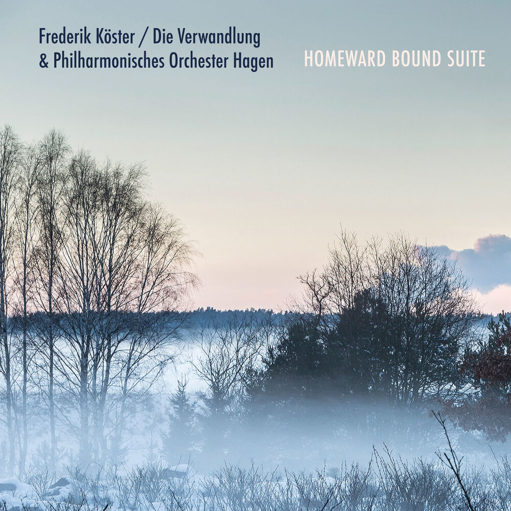 Picture of Die Verwandlung