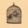 Fish in a Birdcage