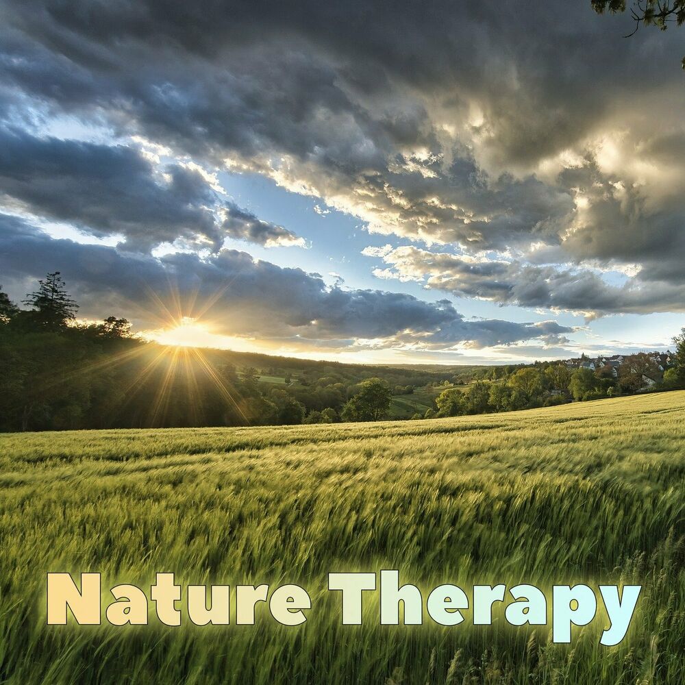 Picture of Nature Therapy
