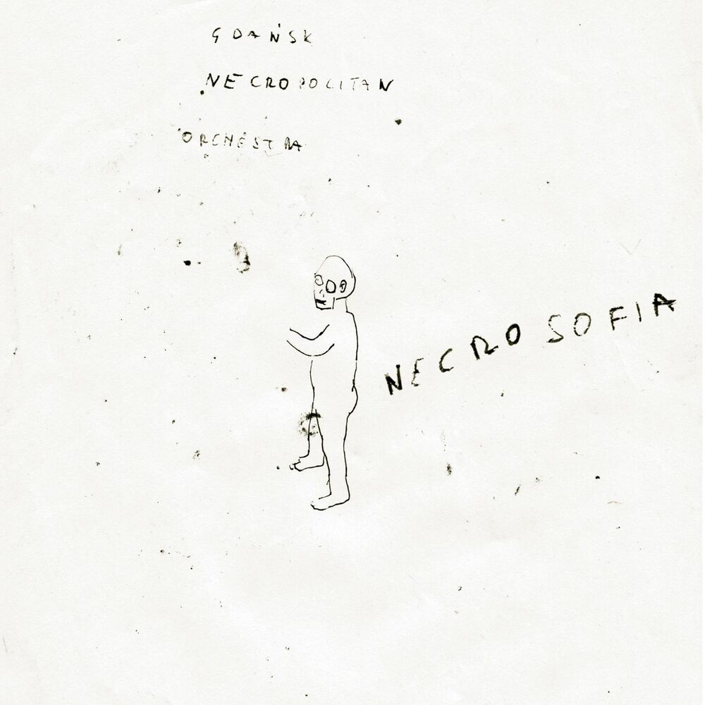 Picture of Maciej Sadowski
