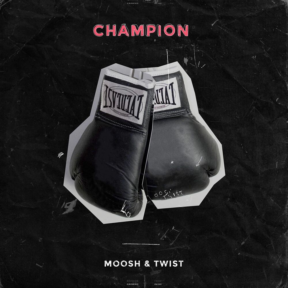 Picture of Moosh & Twist