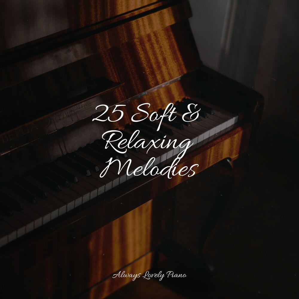 Picture of Peaceful Piano Chillout