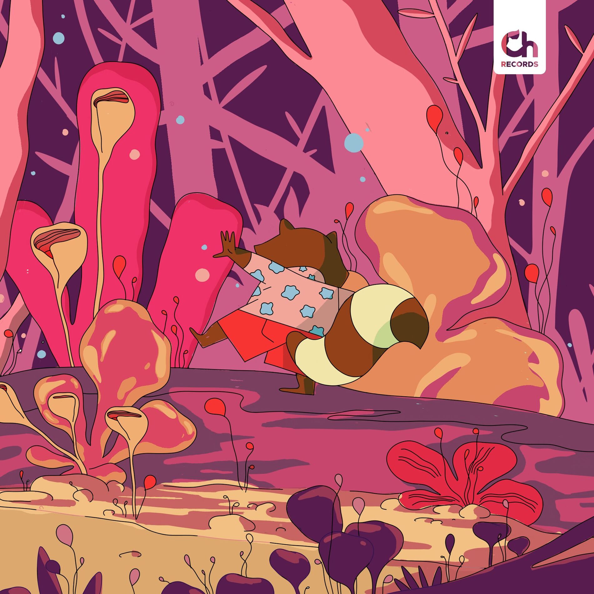 Toonorth