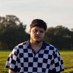 Picture of Deimi