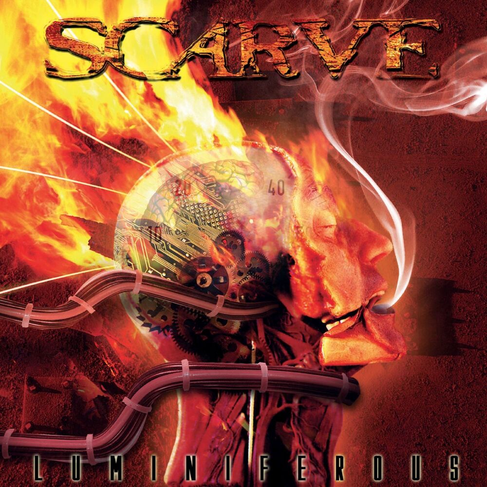 Picture of Scarve