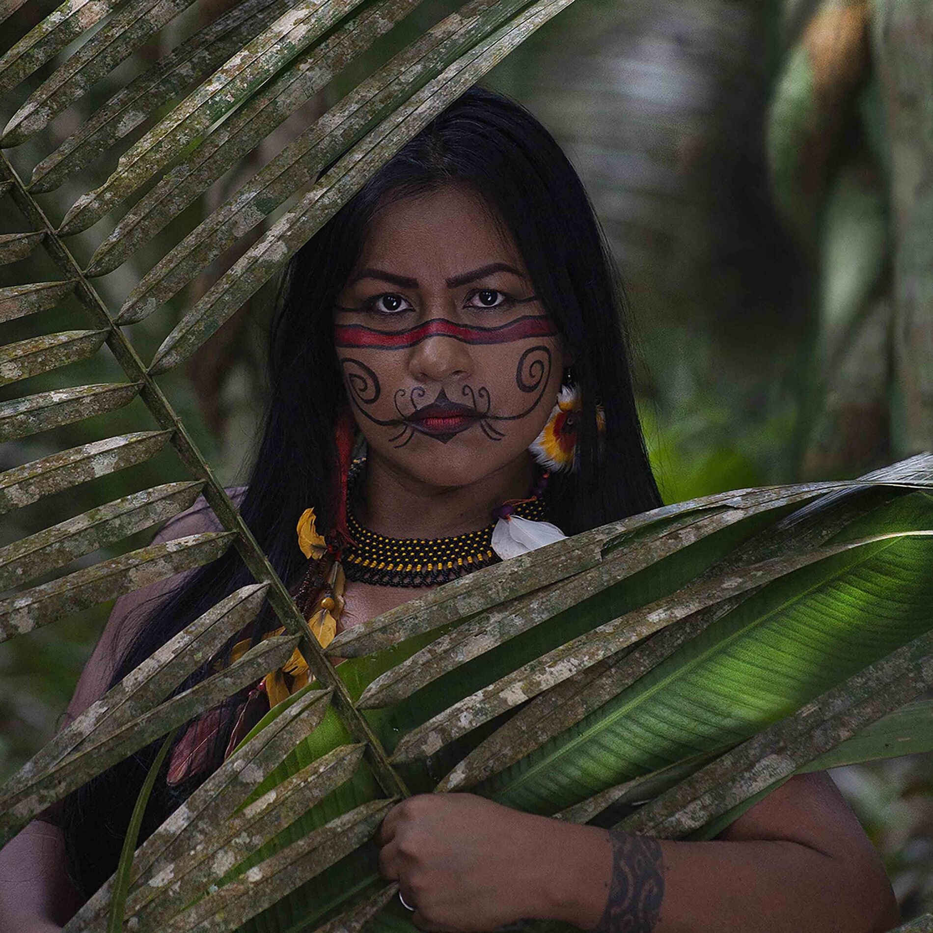 Artist picture of Djuena Tikuna