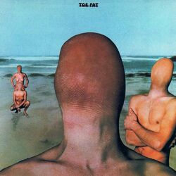 Picture of Toe Fat