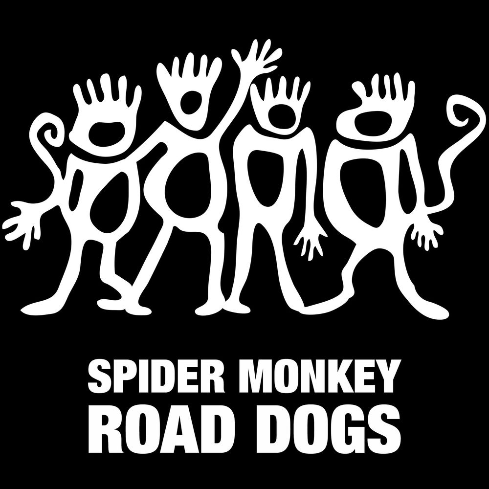 Money Spyder