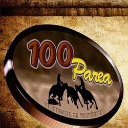 Picture of 100 Párea