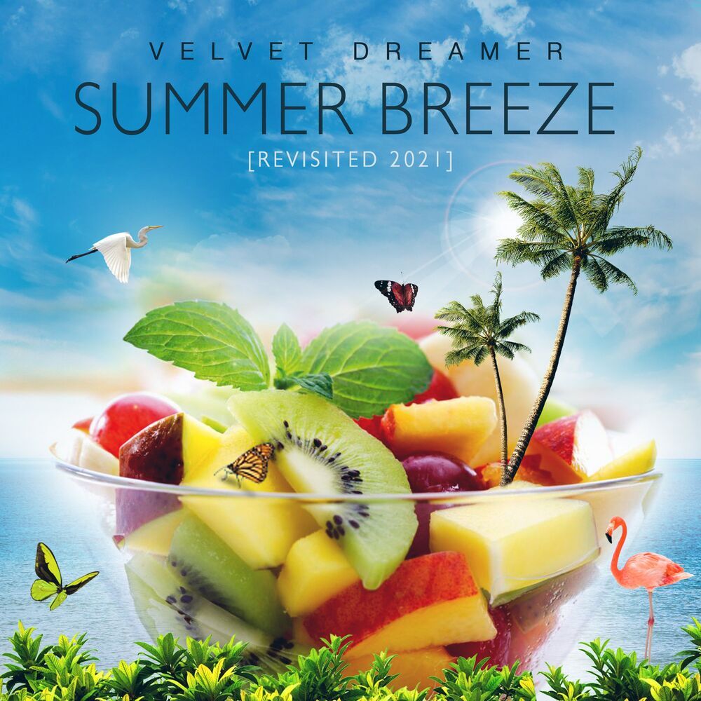 Picture of Velvet Dreamer
