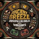 Vibronics