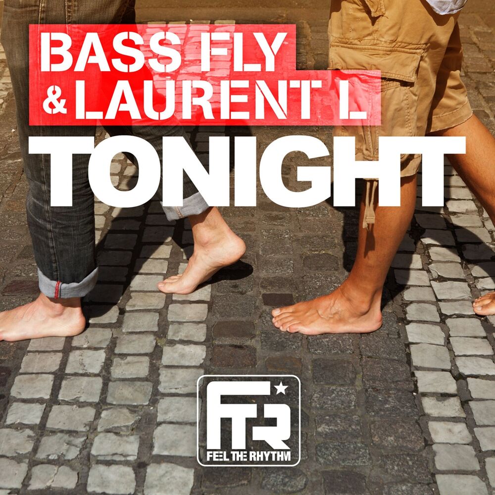 Picture of Bass Fly
