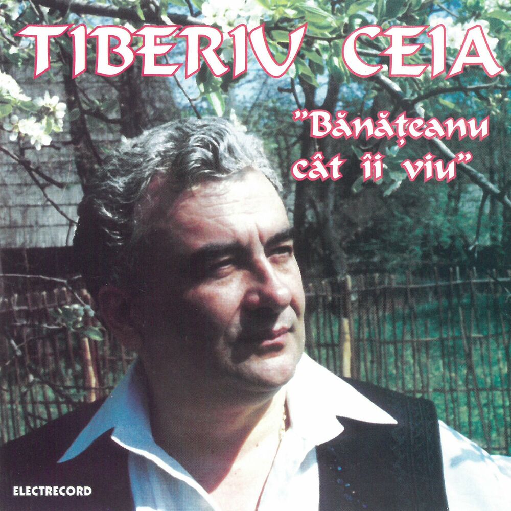 Picture of Tiberiu Ceia