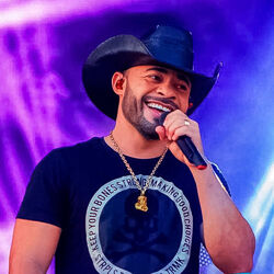 Picture of Arreio de Ouro