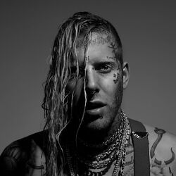 Picture of Tom MacDonald