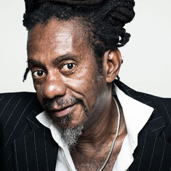 Picture of Luiz Melodia