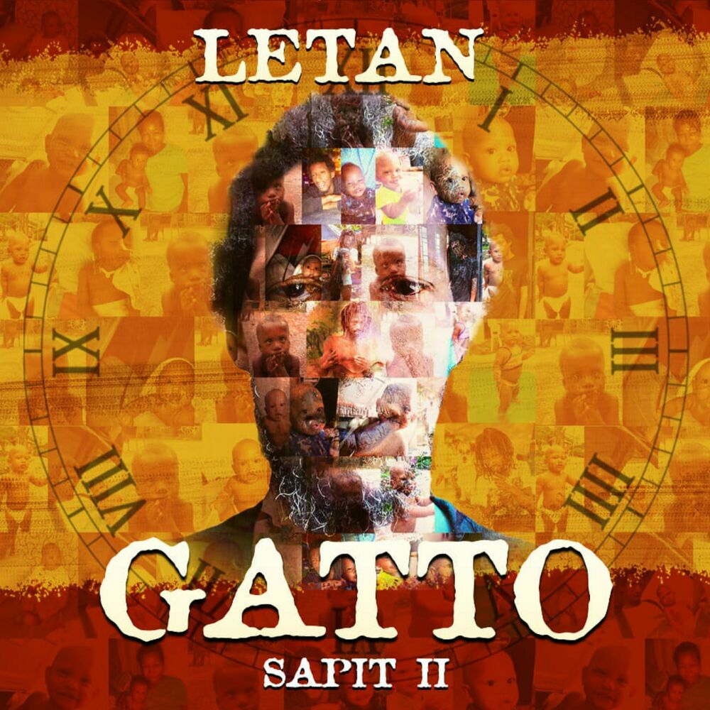 Picture of Gatto