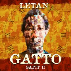 Picture of Gatto