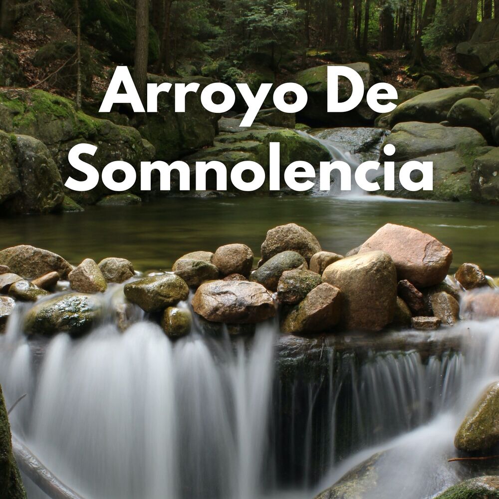 Picture of Canal Naturaleza sin parar