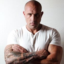 Picture of Mark Stent