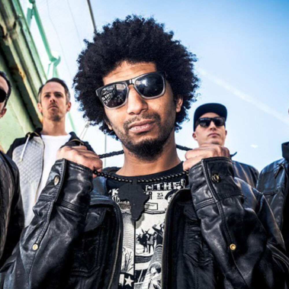 Picture of The Qemists