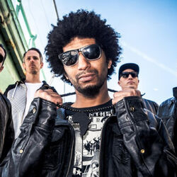 Picture of The Qemists