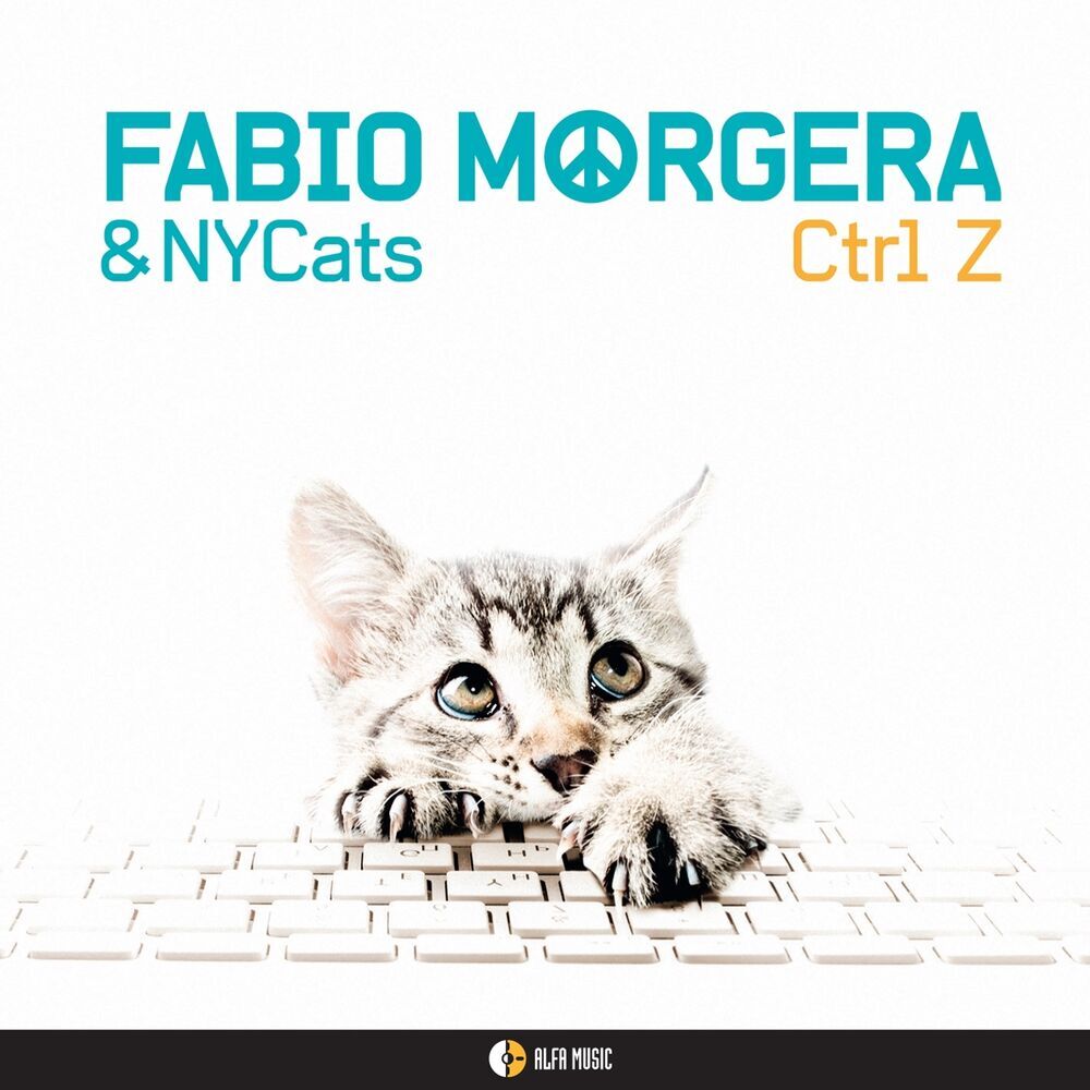 Picture of NYCats