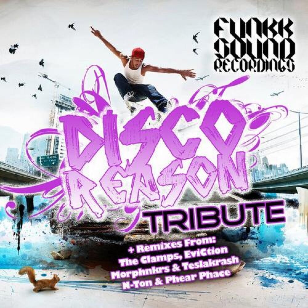 Picture of Disco Reason