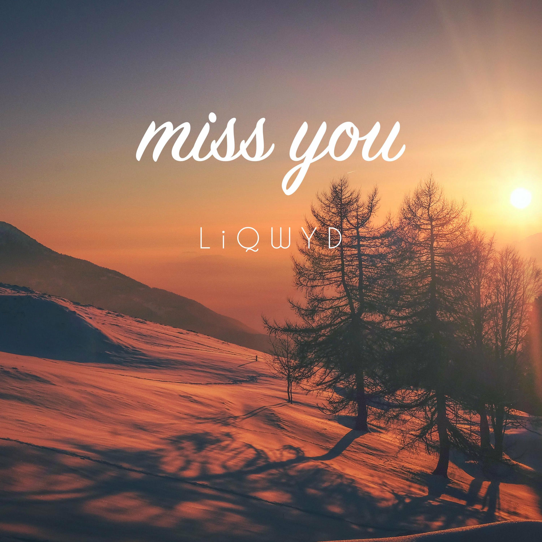 LiQWYD